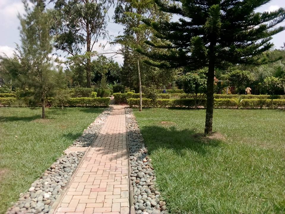 Model Gardens Sonde
